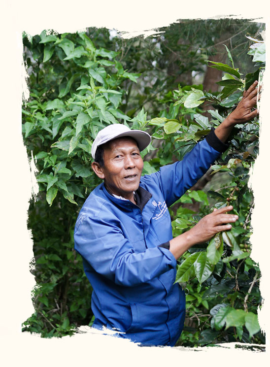 farmer